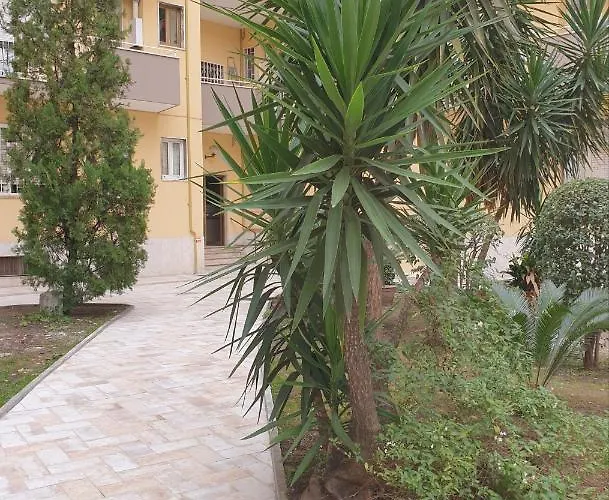 Dolce